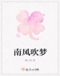 南风吹梦泰国在线阅读